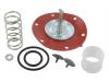 Paruzzi number: 4542 Fuel pump rebuild kit
BCD fuel pump (Paruzzi # 4541) 