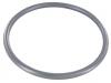 Paruzzi number: 71793 Thermostat seal ring
Waterboxer engines 
