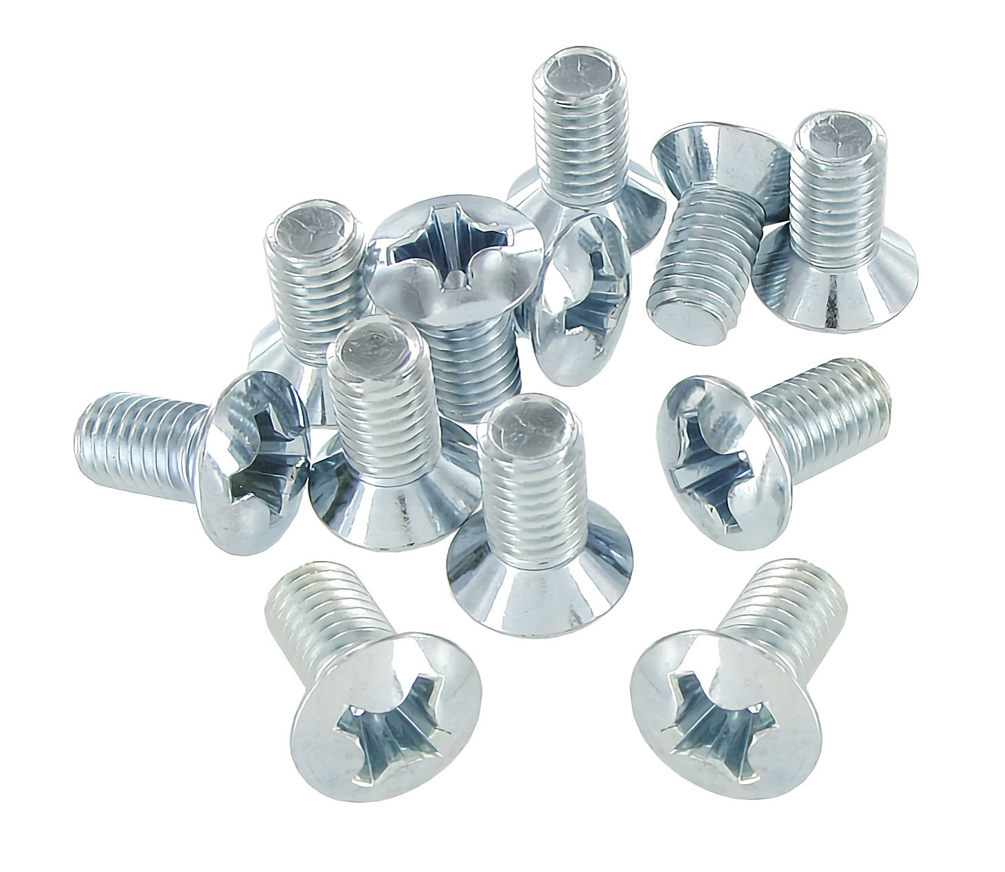 Phillips head hinge bolts