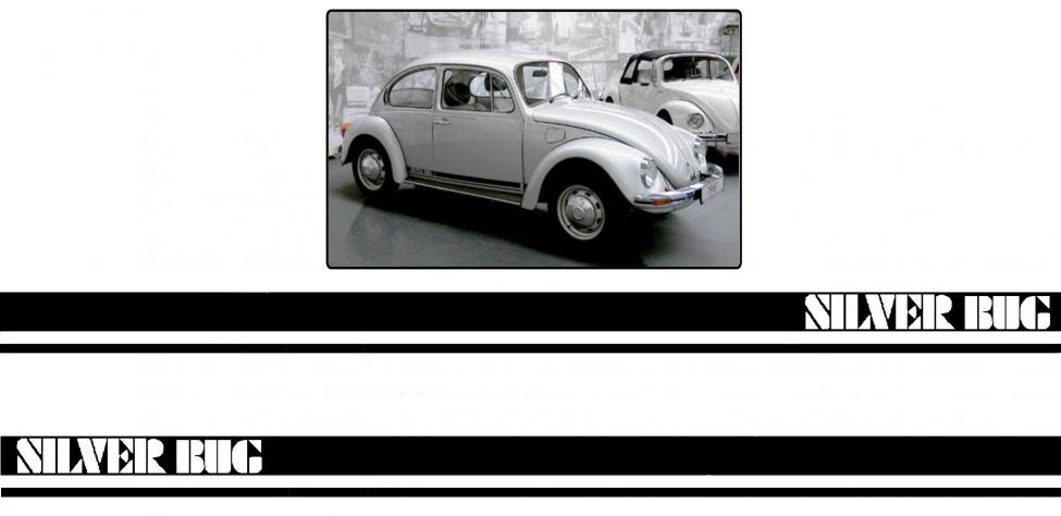 Tarrasarja SILVER BUG
