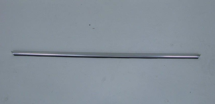 Door window scraper wirth molding left/right each 17074 second chance