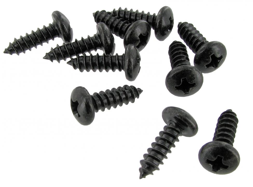 Black oxide Pan head screws