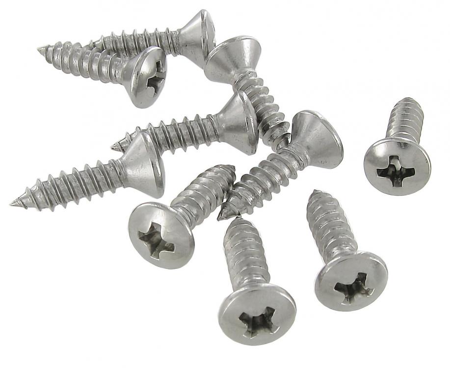 Edelstahl Selbstschneidende Rundkopfschrauben