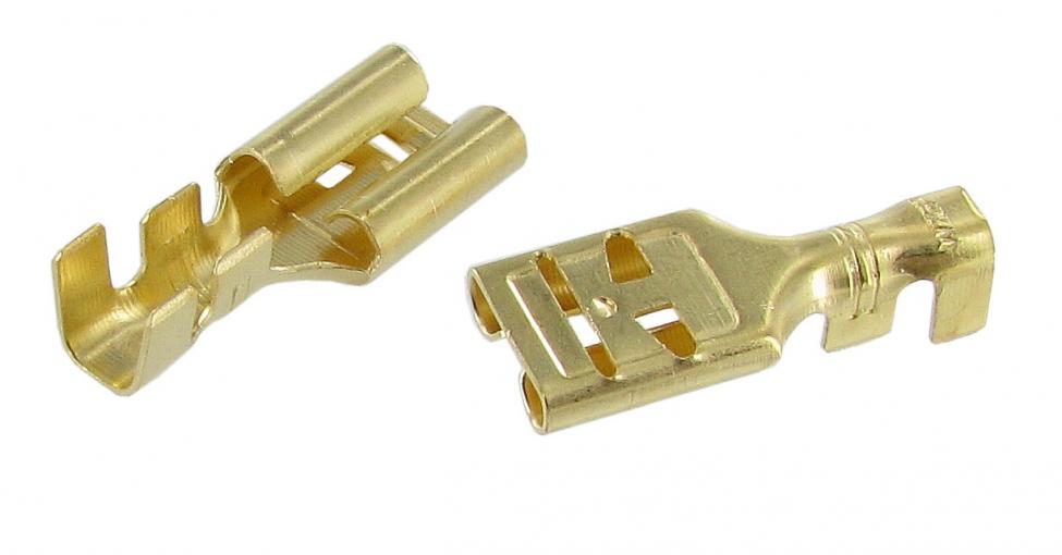 Eristämätön lattaliitin, naaras