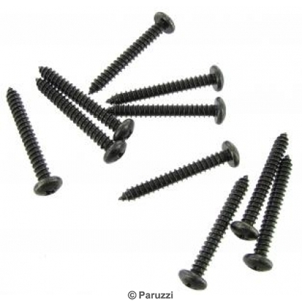 Black oxide panhead screws (10 pieces)