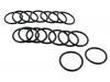 Paruzzi number: 1764 Replacement rubber sealing rings (16 pieces)
Spring adjustable windage pushrod tubes #1761 