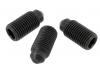 Paruzzi number: 5379 Torsion leaf spring grub screws (3 pieces)