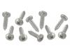 Paruzzi number: 7404 Stainless steel panhead screws (10 pieces)