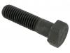 Paruzzi number: 7418 Hex bolt (each)
various applications for: 
Beetle until 1970 (VIN 111 2424 621) 
Karmann Ghia until 1970 (VIN 111 2424 621) 
Bus 4.1955 until 7.1970 
Type 3 1967 (VIN 318 015 226) and later 
Thing 

Specifications: 
Thread size: M10 X 1.5 
Length: 38 mm 
Tensile load: 10.9 
Wrench size: 15 mm 