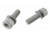 Paruzzi number: 77407 Socket head bolt with washer M8 (per pair)
Bus 8.1967 and later 

Specifications: 
Thread size: M8 x 1.25 
Length: 25 mm 
Material: galvanized steel 
Wrench size: 6 mm 